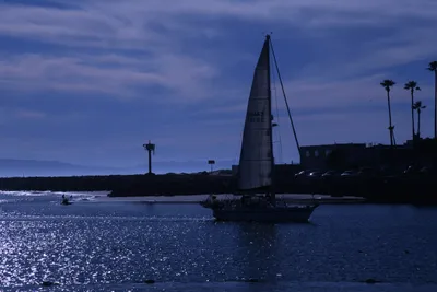 DSC_0831 (Large).JPG